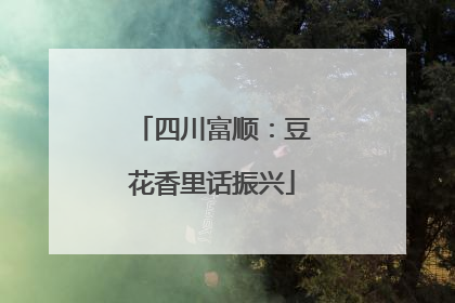 四川富顺：豆花香里话振兴